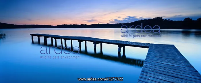  : Lake with jetty, evening mood, Lake Dambeck, Mecklenburg