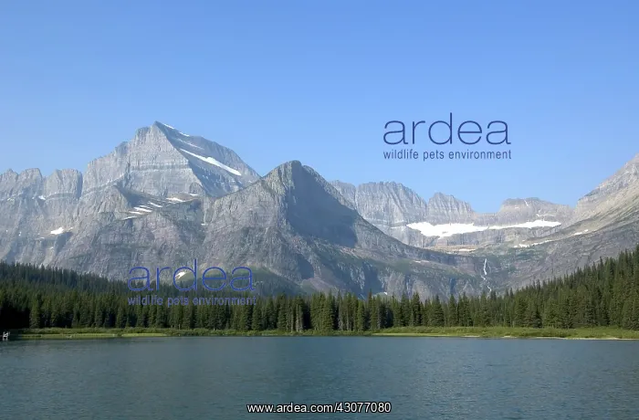: Lake Josephine : Lake Josephine