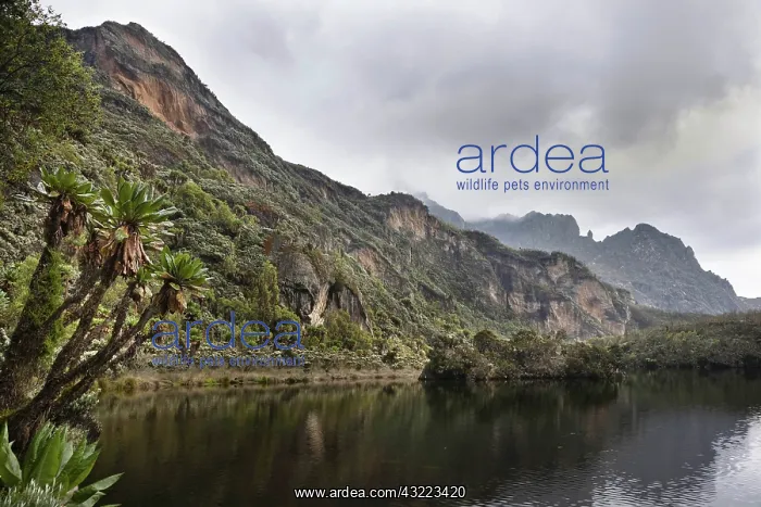  : Lake Kitandara in Ruwenzori, Uganda