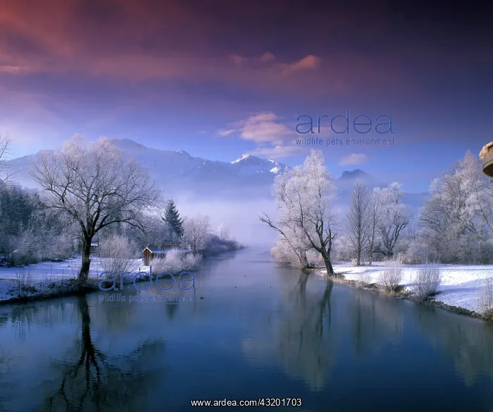 : Lake Kochelsee below Mt. Herzogstand, Upper Bavaria : Lake Kochelsee below Mt. Herzogstand, Upper Bavaria