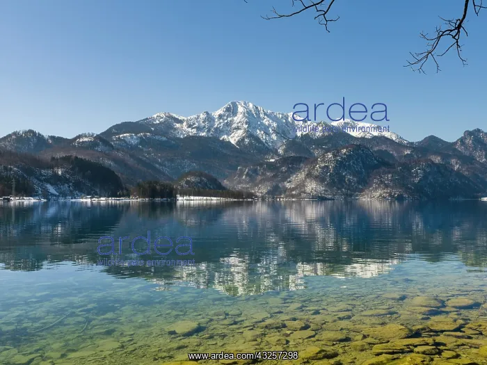 : Lake Kochelsee at village Kochel am See during winter : Lake Kochelsee at village Kochel am See during winter