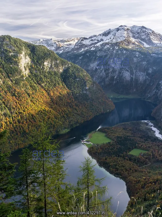 : Lake Koenigsee and the National Park Berchtesgaden : Lake Koenigsee and the National Park Berchtesgaden