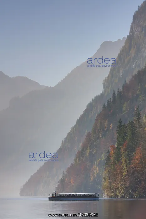 : Lake Koenigssee autumn as seen from Malerwinkel : Lake Koenigssee autumn as seen from Malerwinkel