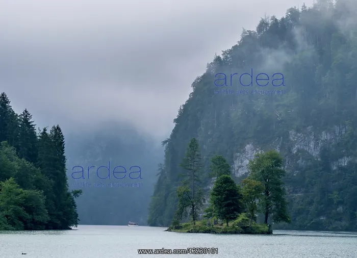 : Lake Koenigssee in the Nationalpark Berchtesgaden : Lake Koenigssee in the Nationalpark Berchtesgaden