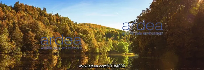 : Lake landscape with Autumn foliage and reflections : Lake landscape with Autumn foliage and reflections