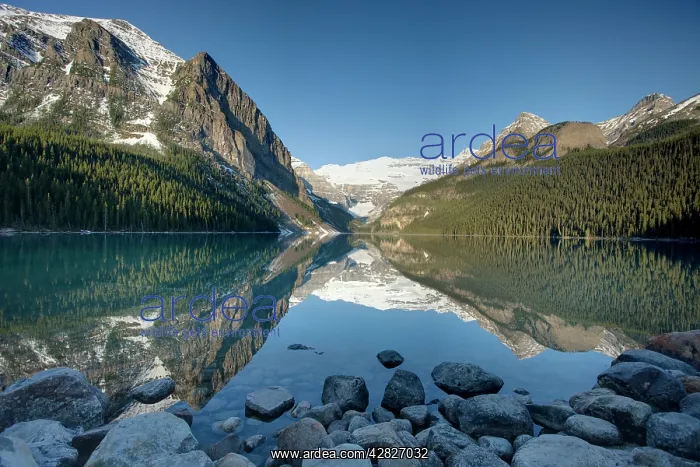 : Lake Louise : Lake Louise