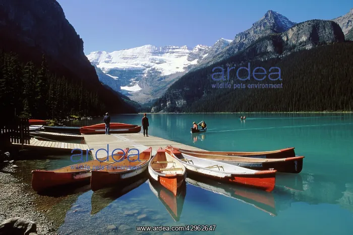 : Lake Louise : Lake Louise