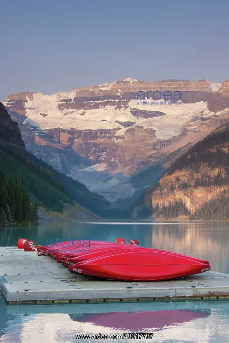  : Lake Louise with Victoria-Glacier