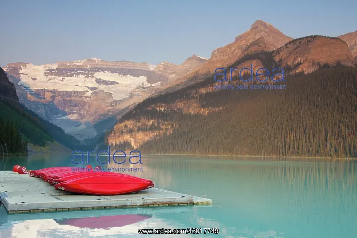  : Lake Louise with Victoria-Glacier