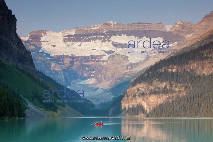  : Lake Louise with Victoria-Glacier