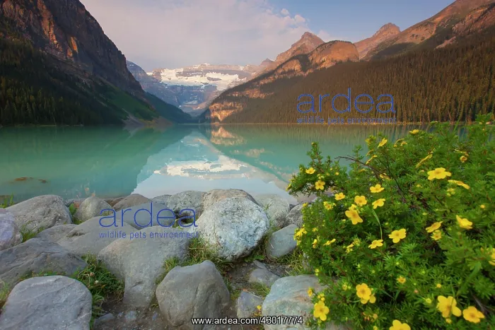 : Lake Louise with Victoria-Glacier : Lake Louise with Victoria-Glacier