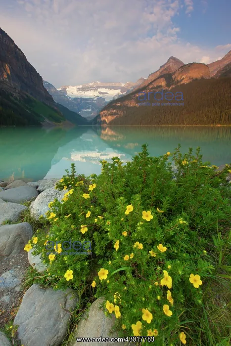 : Lake Louise with Victoria-Glacier : Lake Louise with Victoria-Glacier