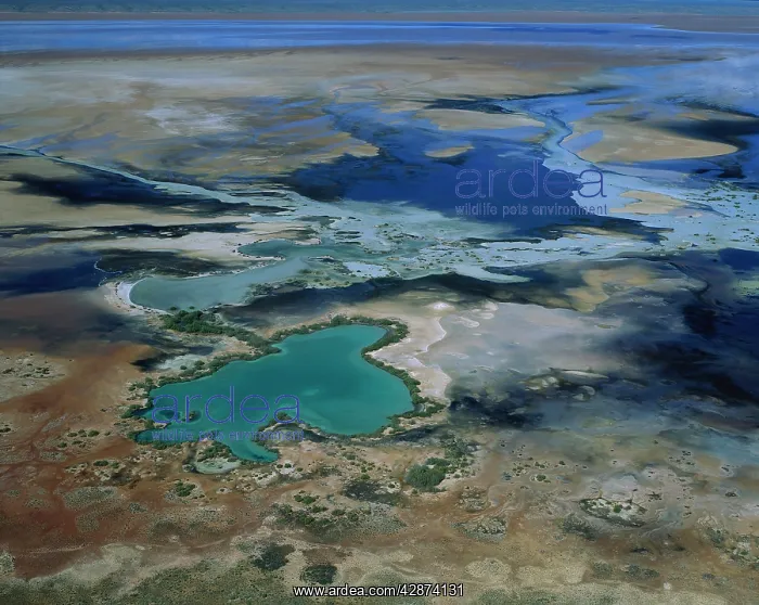 : Lake MacLeod salt lake mineral-laden artesian water : Lake MacLeod salt lake mineral-laden artesian water