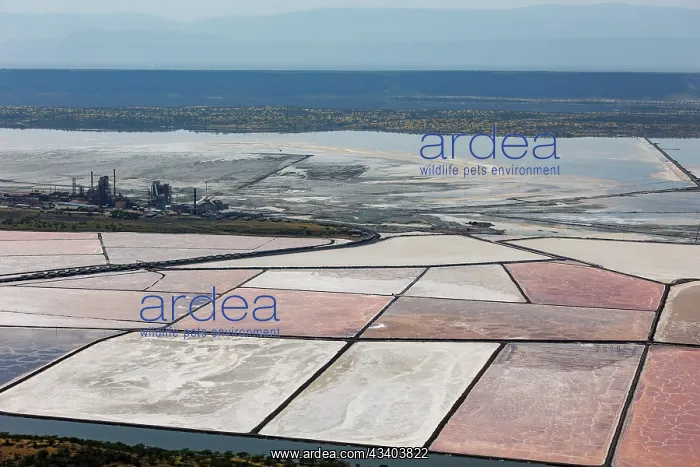 : Lake Magadi in Kenya, TATA soda factory : Lake Magadi in Kenya, TATA soda factory