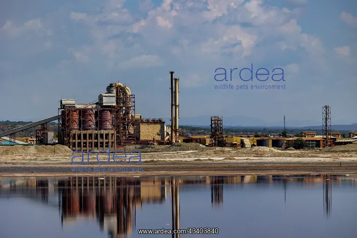 : Lake Magadi in Kenya, TATA soda factory : Lake Magadi in Kenya, TATA soda factory
