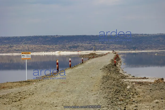 : Lake Magadi in Kenya, TATA soda factory : Lake Magadi in Kenya, TATA soda factory
