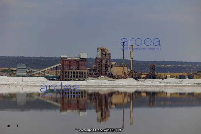 : Lake Magadi in Kenya, TATA soda factory : Lake Magadi in Kenya, TATA soda factory