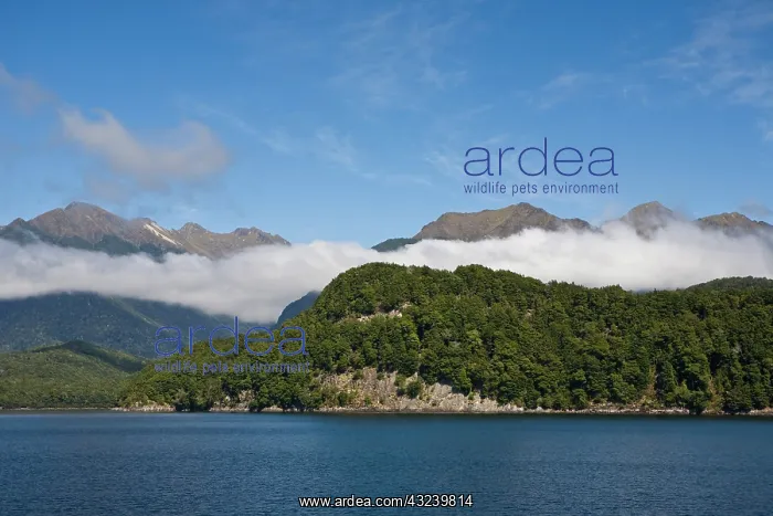 : Lake Manapouri, Doubtful Sound, South Island : Lake Manapouri, Doubtful Sound, South Island