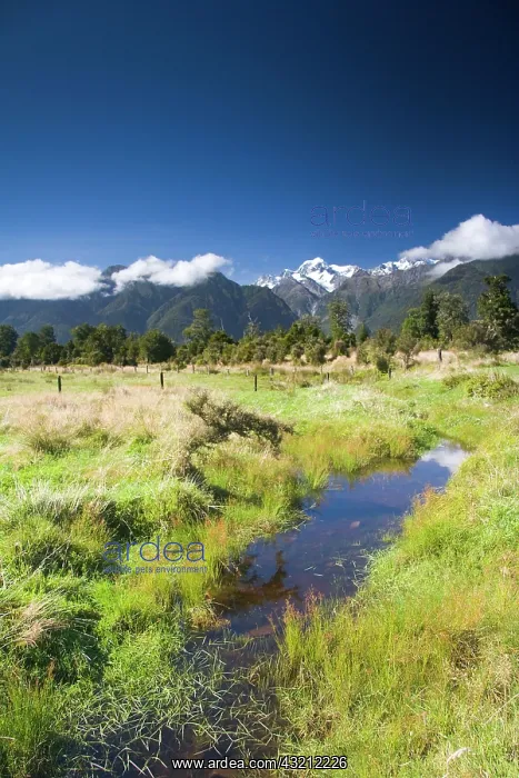 : Lake Matheson, New Zealand. Lake Matheson : Lake Matheson, New Zealand. Lake Matheson