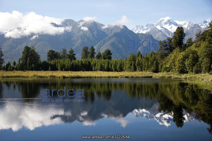 : Lake Matheson, New Zealand. Lake Matheson : Lake Matheson, New Zealand. Lake Matheson