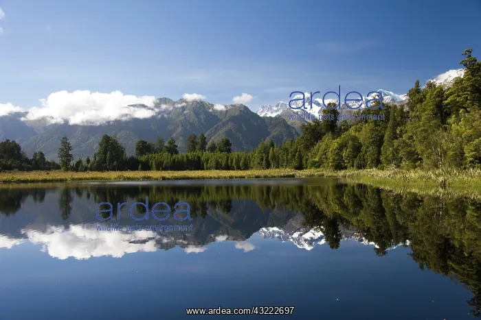 : Lake Matheson, New Zealand. Lake Matheson : Lake Matheson, New Zealand. Lake Matheson