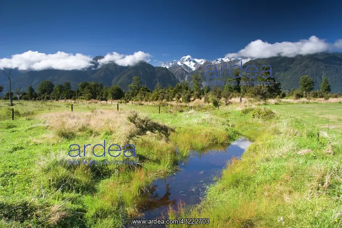 : Lake Matheson, New Zealand. Lake Matheson : Lake Matheson, New Zealand. Lake Matheson