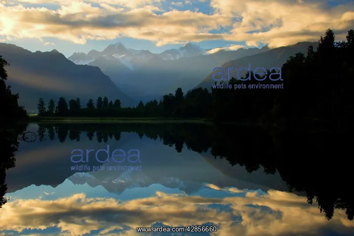 : Lake Matheson - perfect reflection of Mount Cook : Lake Matheson - perfect reflection of Mount Cook