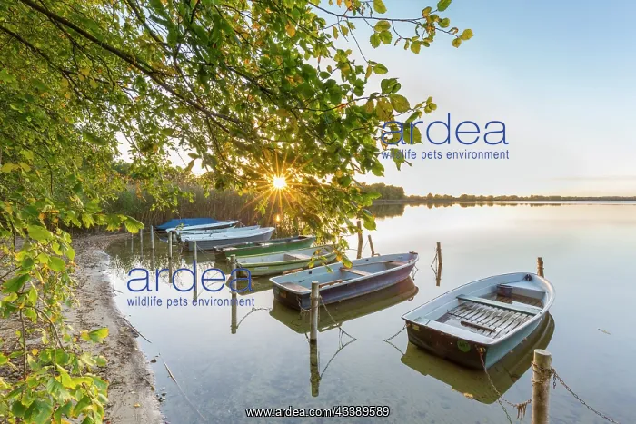 : Lake Mechow : Lake Mechow