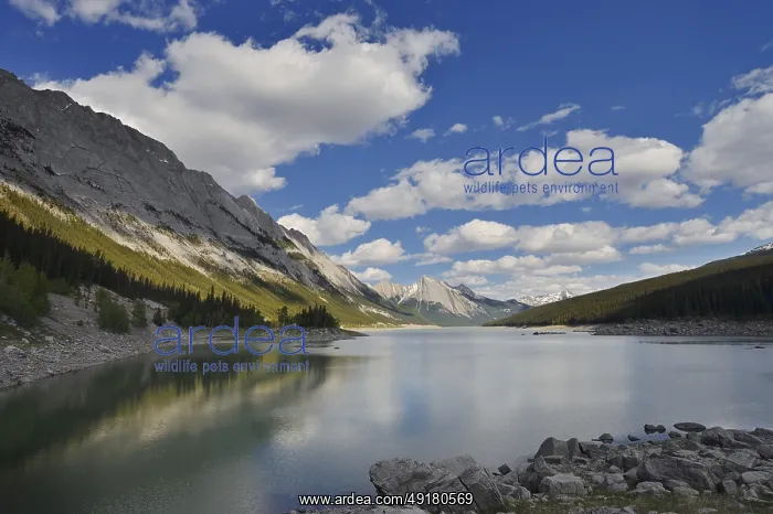 : Lake Medicine Lake, Jasper National Park : Lake Medicine Lake, Jasper National Park