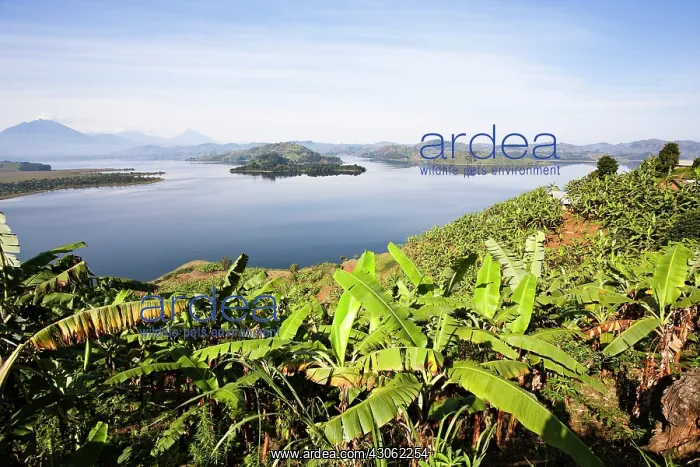 : Lake Mutanda near Kisoro in Uganda. On the : Lake Mutanda near Kisoro in Uganda. On the