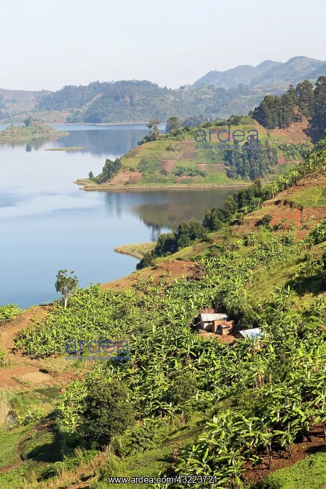 : Lake Mutanda near Kisoro in Uganda. On the : Lake Mutanda near Kisoro in Uganda. On the