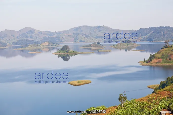 : Lake Mutanda near Kisoro in Uganda. On the : Lake Mutanda near Kisoro in Uganda. On the