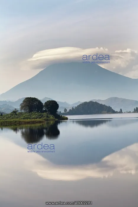 : Lake Mutanda near Kisoro with the Virunga : Lake Mutanda near Kisoro with the Virunga