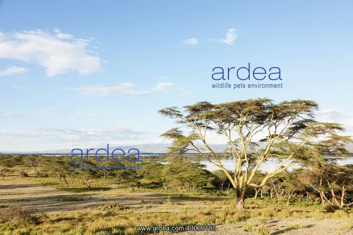 : Lake Naivasha and the Game Reserve Crescent : Lake Naivasha and the Game Reserve Crescent