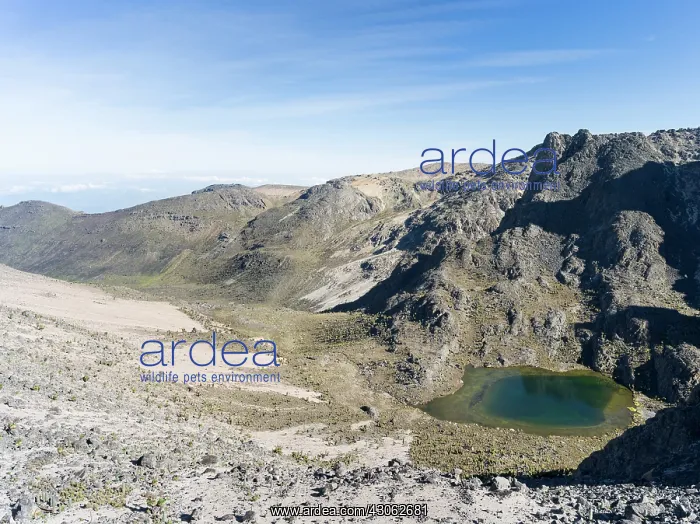 : Lake Nanyuki. Mount Kenya National Park : Lake Nanyuki. Mount Kenya National Park