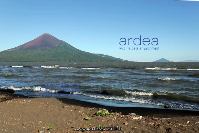 : Lake Nicaragua, Island of Ometepe at back, Nicaragua : Lake Nicaragua, Island of Ometepe at back, Nicaragua