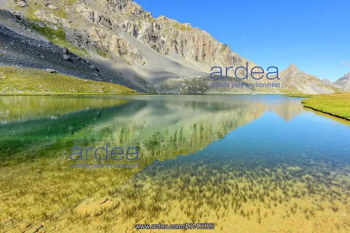 : Lake Orrenaye, Valley Orrenaye, High Ubay, above : Lake Orrenaye, Valley Orrenaye, High Ubay, above