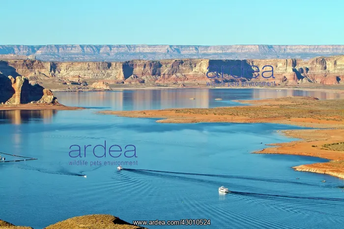 : Lake Powell : Lake Powell