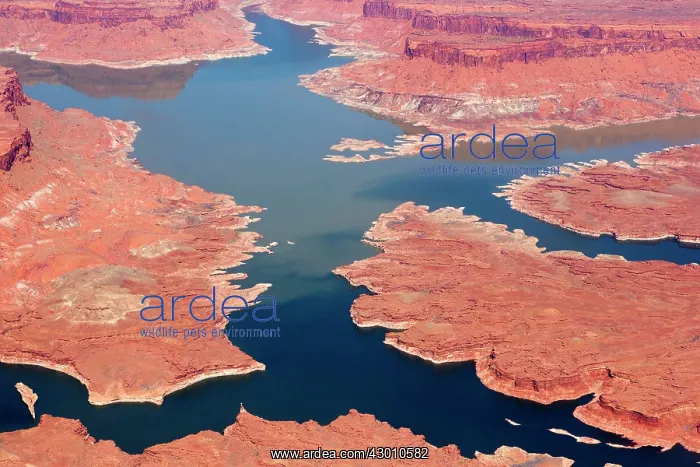 : Lake Powell : Lake Powell