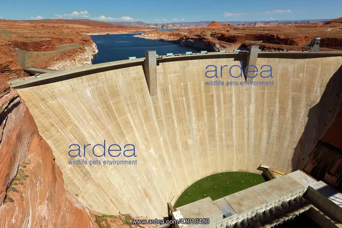 : Lake Powell Dam : Lake Powell Dam