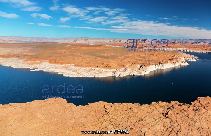 : Lake Powell, Page, Arizona - Utah, Usa, America : Lake Powell, Page, Arizona - Utah, Usa, America