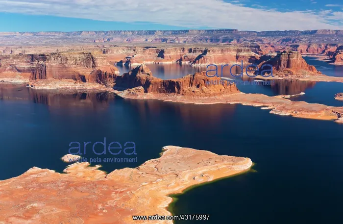 : Lake Powell, Page, Arizona - Utah, Usa, America : Lake Powell, Page, Arizona - Utah, Usa, America