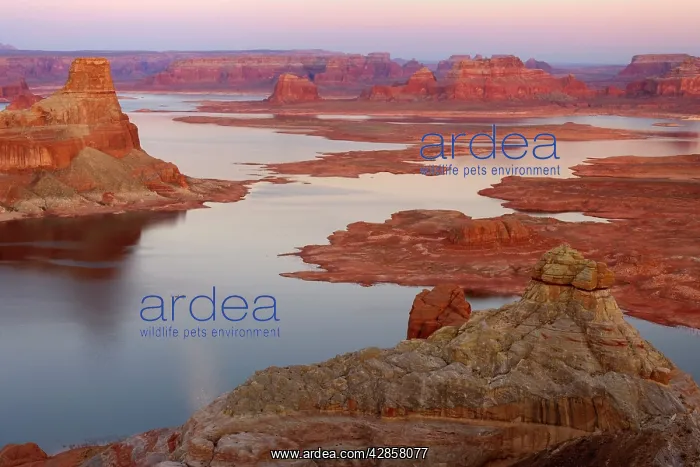 : Lake Powell - panoramic view onto Lake Powell and : Lake Powell - panoramic view onto Lake Powell and
