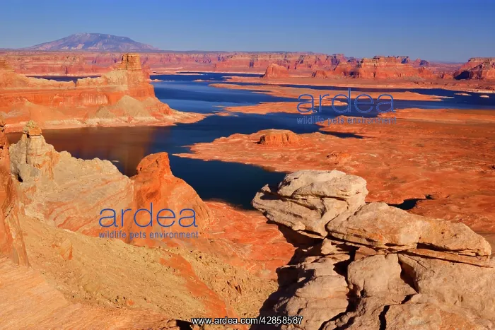 : Lake Powell - panoramic view onto Lake Powell and : Lake Powell - panoramic view onto Lake Powell and