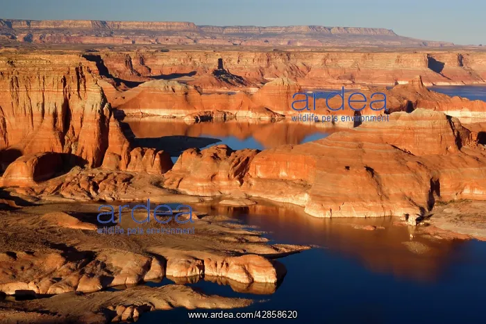 : Lake Powell - panoramic view onto Lake Powell and : Lake Powell - panoramic view onto Lake Powell and