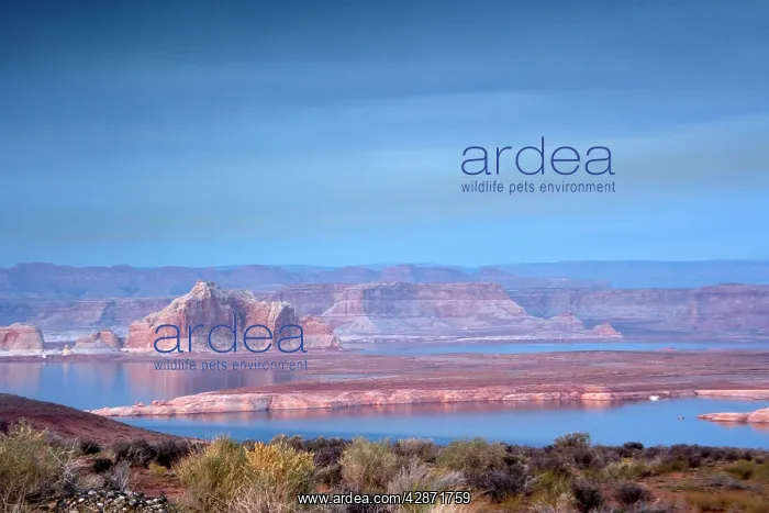  : Lake Powell reservoir on the Colorado River