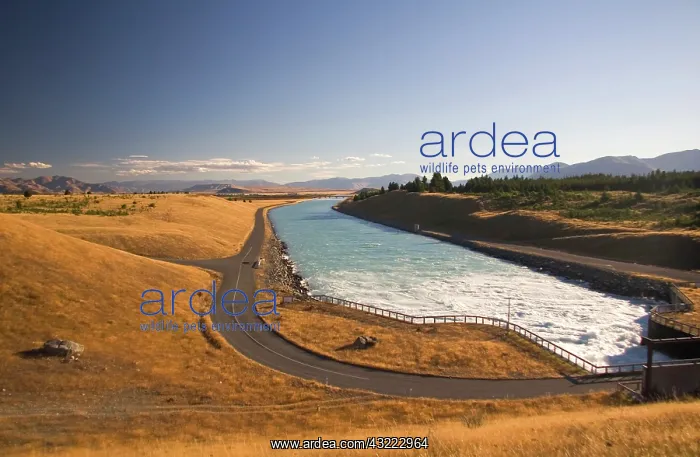 : Lake Pukaki, New Zealand. Lake Pukaki is : Lake Pukaki, New Zealand. Lake Pukaki is