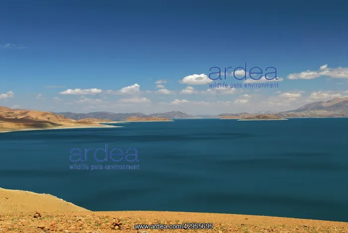  : Lake Rakshastsal - Tibet