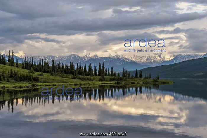  : Lake with refelections at sunset