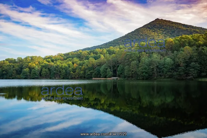 : Lake reflections, Peaks Of Otter, Blue Ridge Parkway : Lake reflections, Peaks Of Otter, Blue Ridge Parkway